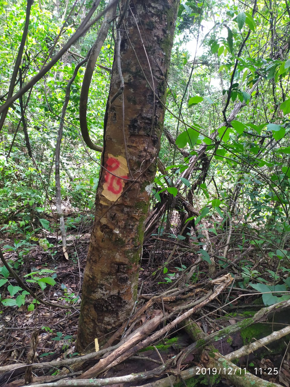 WhatsApp Image 2021-06-05 at 17.07.16.jpeg