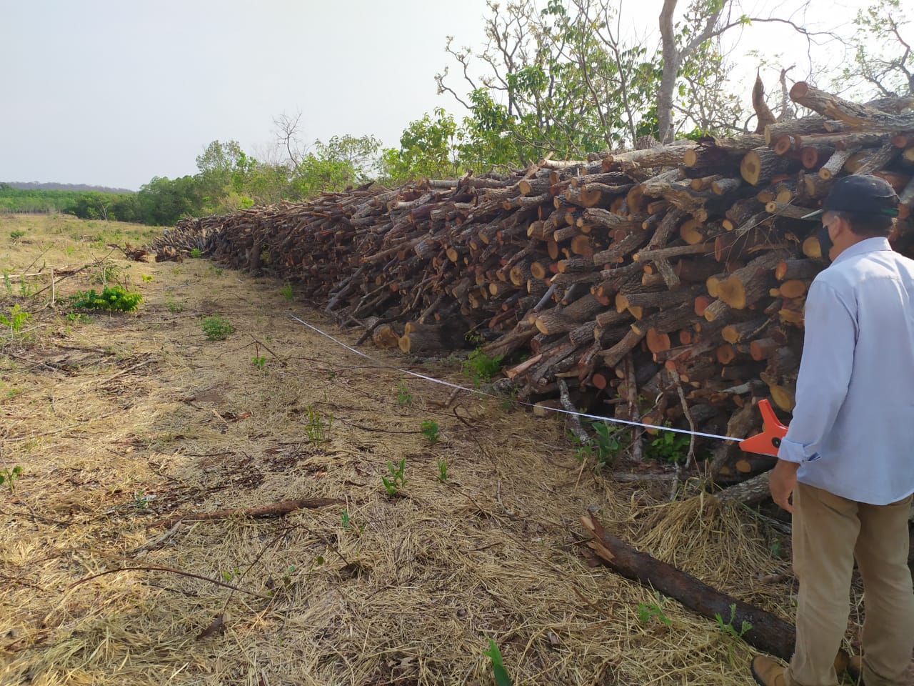 WhatsApp Image 2021-06-05 at 17.07.15.jpeg