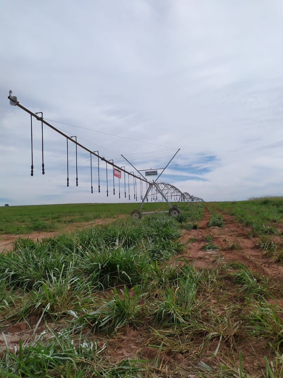 WhatsApp Image 2021-06-05 at 17.03.50.jpeg